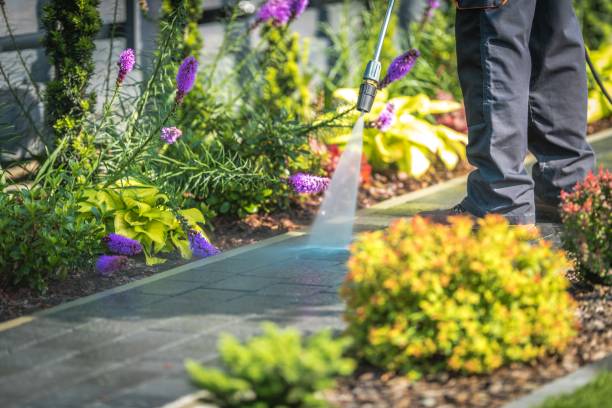 Best Fence Cleaning  in Sinking Spring, PA